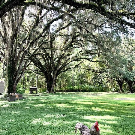 The Harmony Oaks Homestead Masaryktown エクステリア 写真