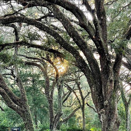 The Harmony Oaks Homestead Masaryktown エクステリア 写真