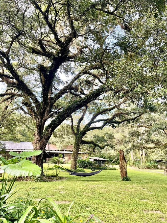 The Harmony Oaks Homestead Masaryktown エクステリア 写真