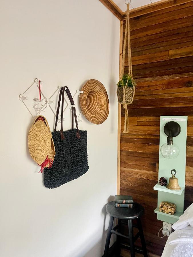 The Harmony Oaks Homestead Masaryktown エクステリア 写真